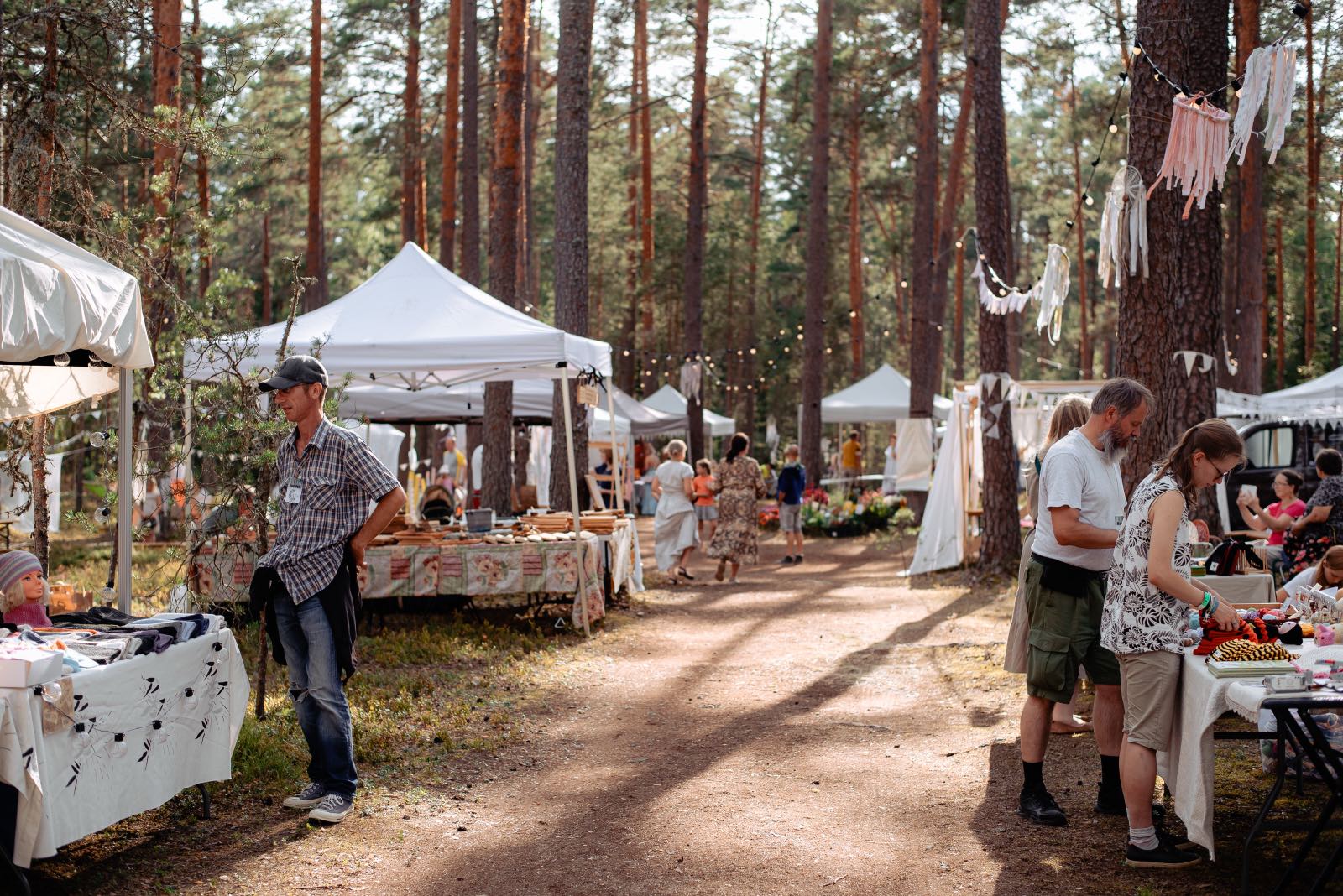Laadaelu männimetsas